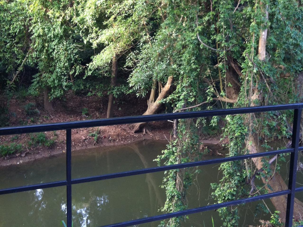 The Creek At Khao Yai Hotel Pak Chong Екстериор снимка