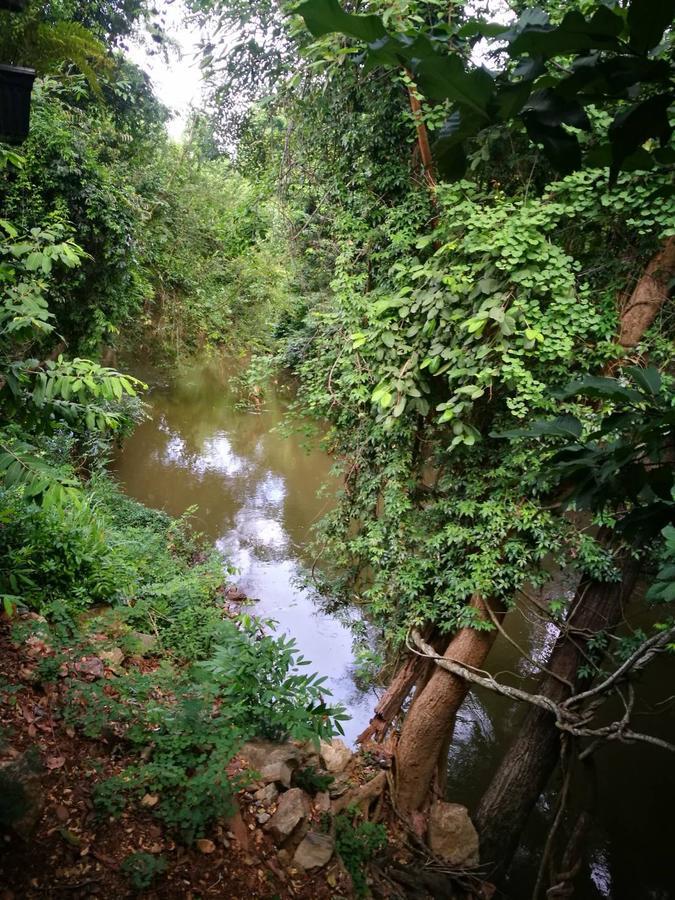 The Creek At Khao Yai Hotel Pak Chong Екстериор снимка